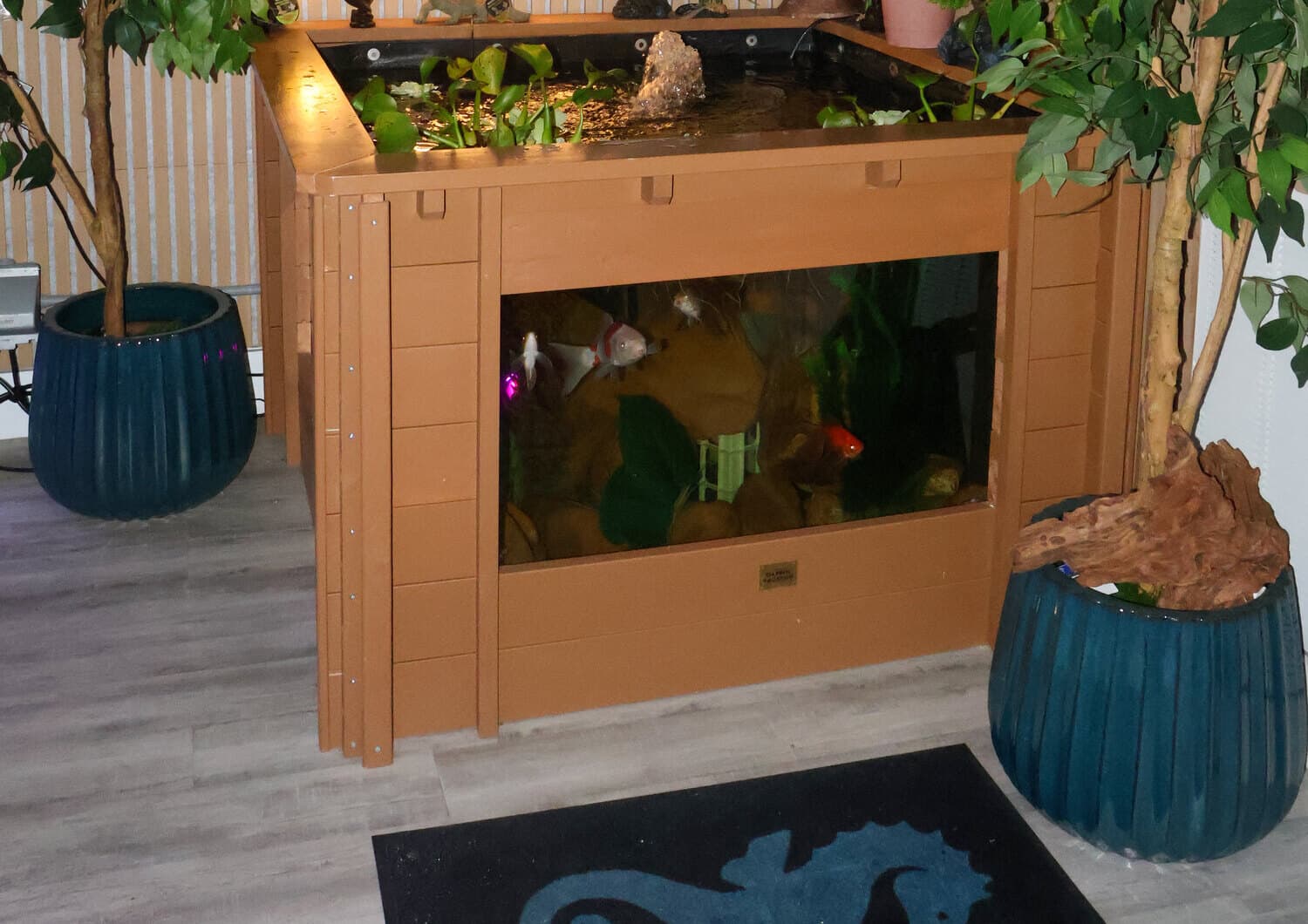 The pond display at the front of the store, a wood-framed pond with a viewing window, between two potted trees