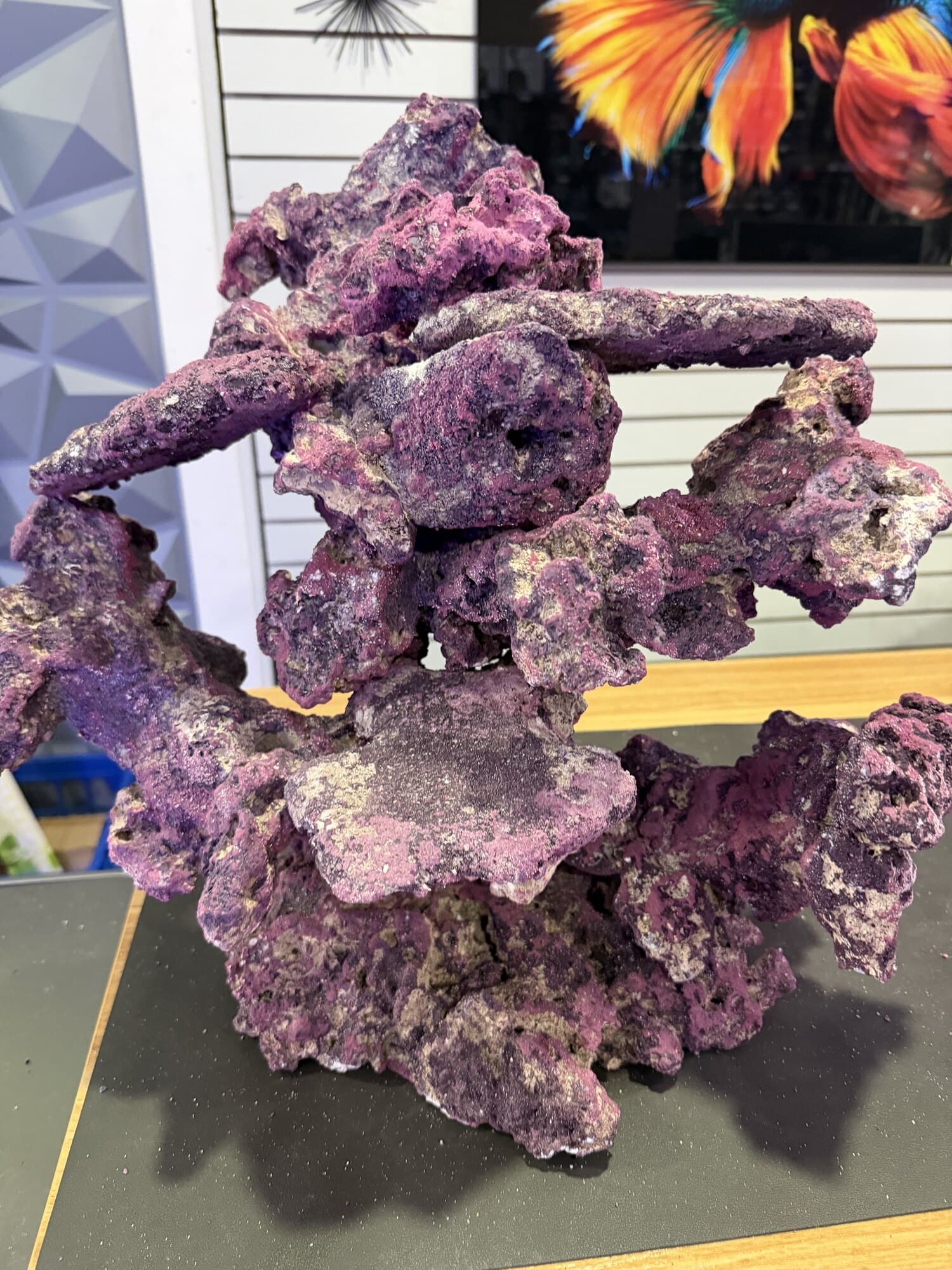 A dry rock aquascape built up as an arch, before it goes into a reef system