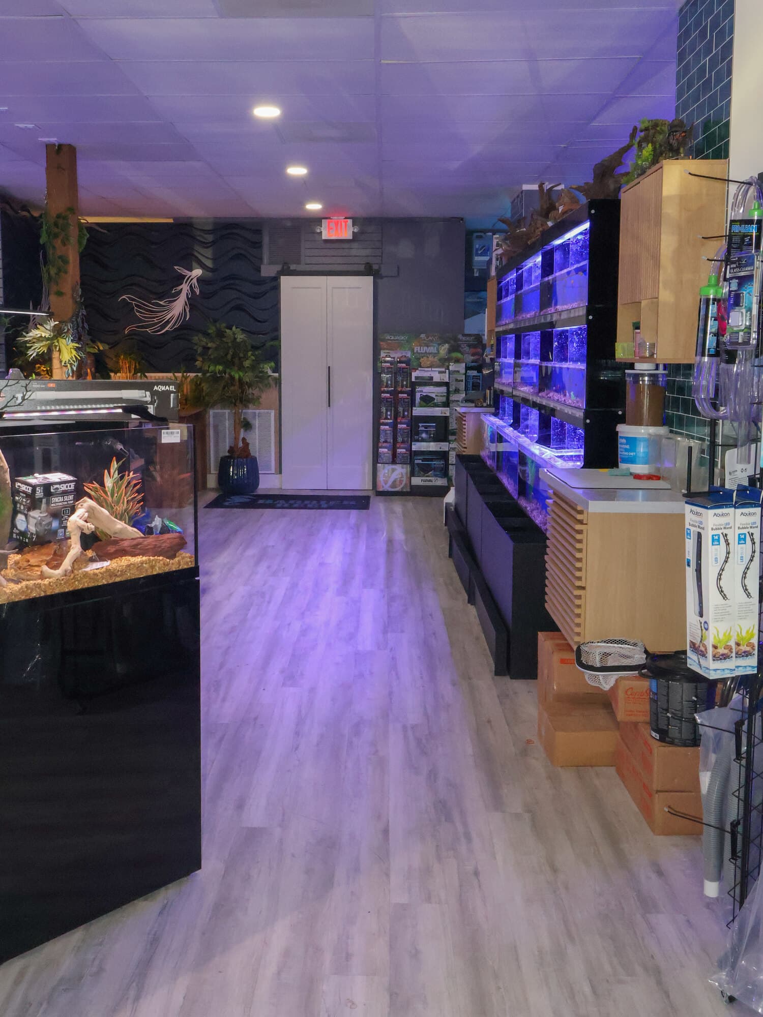 The main aisle at Barrier Reef, a display aquarium on the left and the lit livestock wall on the right