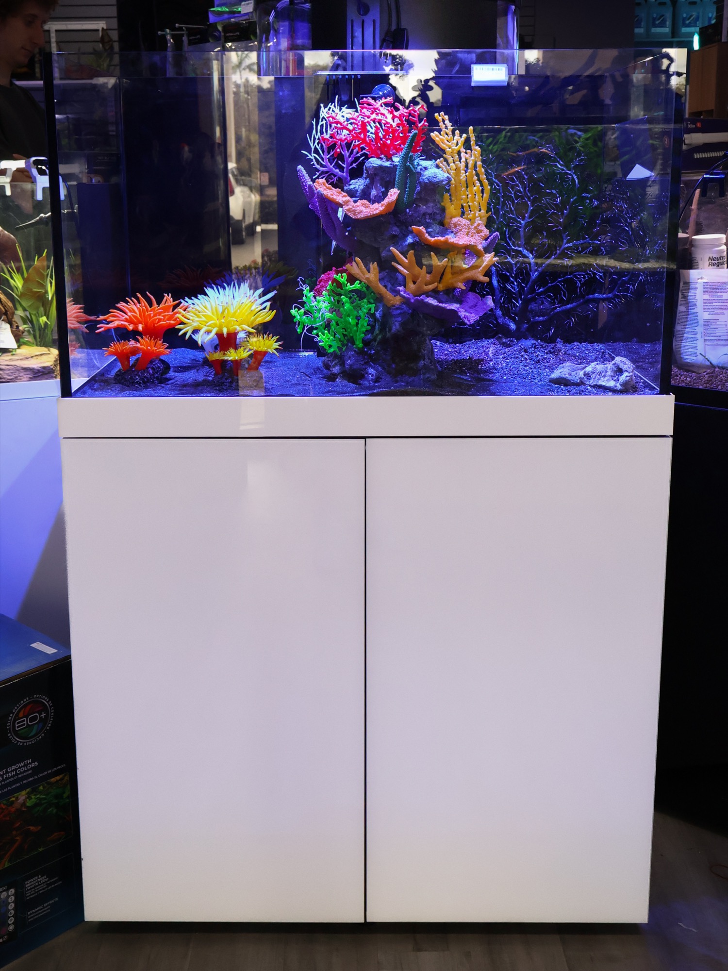 Custom reef aquarium built and stocked on the store floor